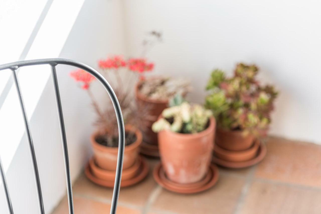Guestready - Cactus Balcony - Free Private Parking Lägenhet OOporto Exteriör bild